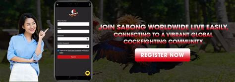 viva fight 247 register online|Sabong WorldWide .